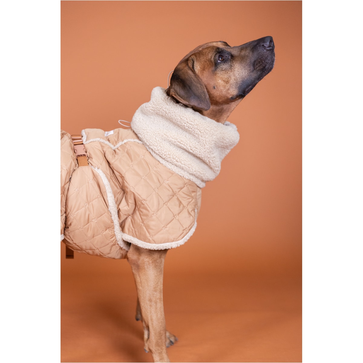 Paikka Quilted Sherpa Jakke, Camel - Billede 4