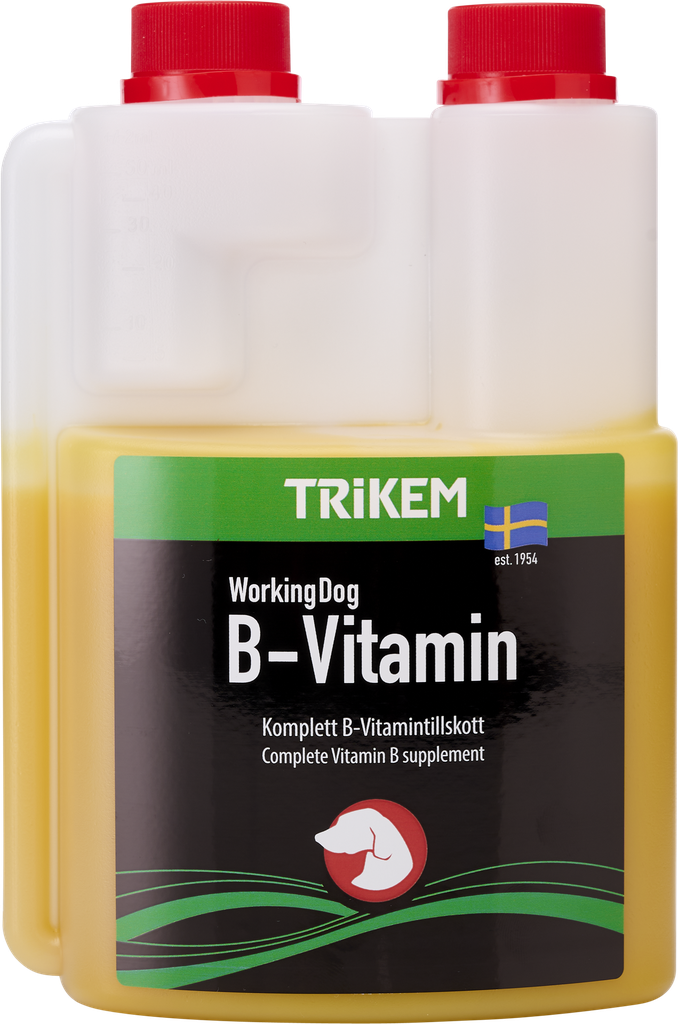 WorkingDog B-Vitamin 500ml