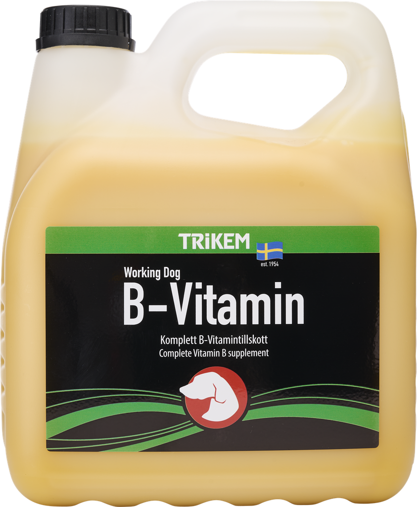 WorkingDog B-Vitamin 3000ml