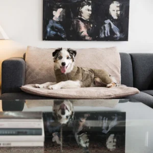 FlexDog tørremåtte / 90x110