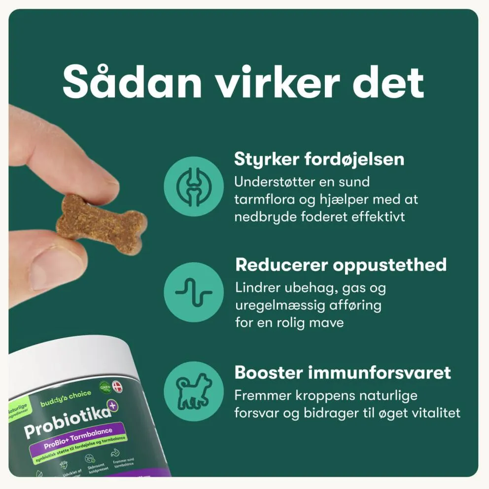Buddy's Choice Probiotika+ - Billede 2