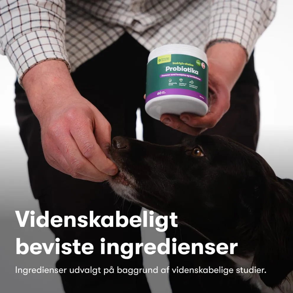 Buddy's Choice Probiotika+ - Billede 5